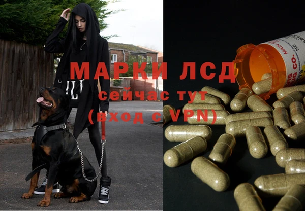 jwh Алзамай